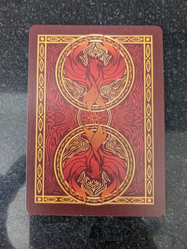 Customer photo review of Bicycle Fyrebird Playing Cards