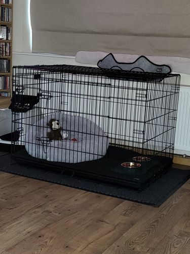 Customer photo review of Dog Crate, Heavy Duty Dog Cage With 2 Doors