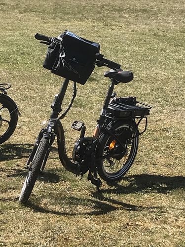 Customer photo review of Fafrees 20F054 250W Step-through Electric Bike 25km/h Foldable City Cruiser E-bike 100km