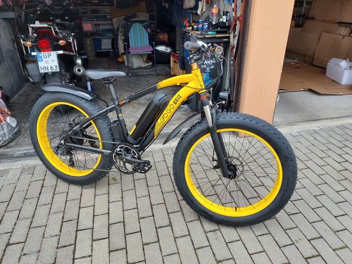 Customer photo review of Gogobest GF600 1000W Fat Tire Electric Bike Mountain Bike 40km/h 100km