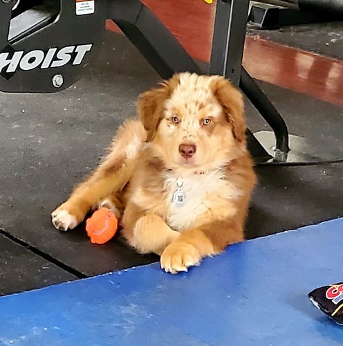 Customer photo review of Evergreen