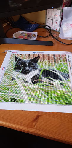 Customer photo review of Diamond Painting Eigen Foto - Snelle Levering