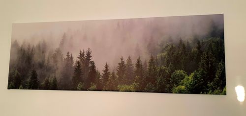 Customer photo review of Leinwandbild | Wald im Nebel | Panorama