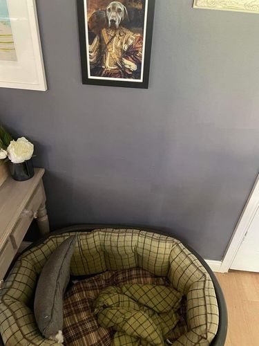 Customer photo review of The Hunter - Custom Vintage Pet Portrait