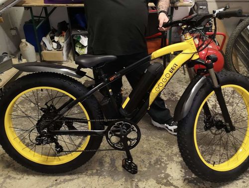 Customer photo review of Gogobest GF600 1000W Fat Tire Electric Bike Mountain Bike 40km/h 100km