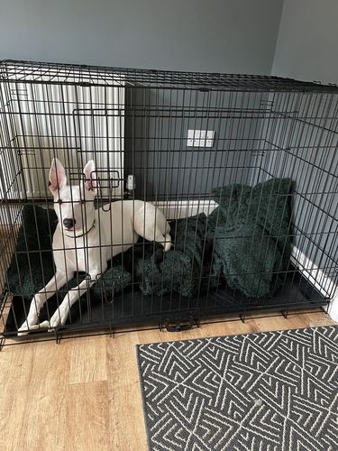 Customer photo review of Dog Crate, Heavy Duty Dog Cage With 2 Doors