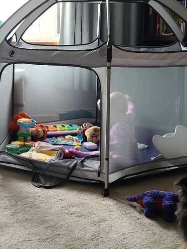 Customer photo review of Pop N' Go® Playpen