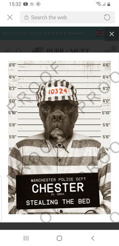 Customer photo review of Naughty Pet Mugshot - Custom Pet Portrait