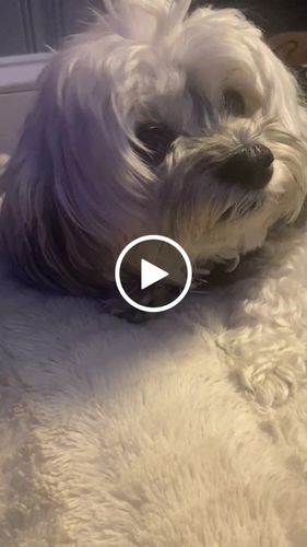 Customer video review of Pink