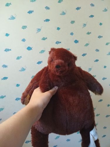 Customer photo review of SKOGGY BEAR