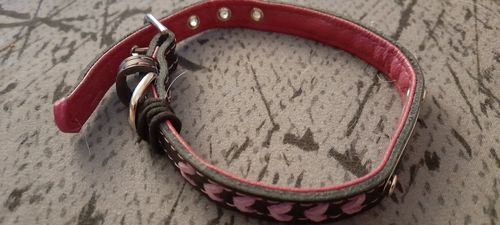 Customer photo review of Collier pour Chien Personnalisé Modèle Tressé
