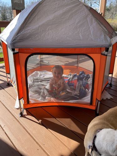 Customer photo review of Pop N' Go® Playpen