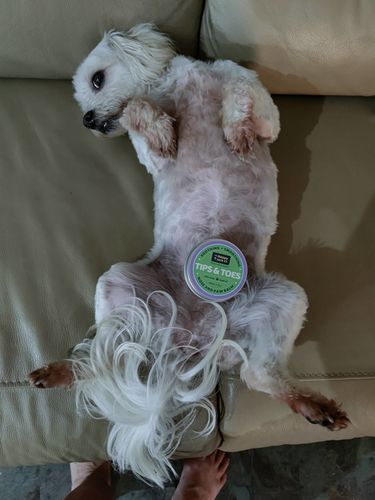 Customer photo review of Tips & Toes - Nose and Paw Balm
