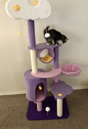 Customer photo review of Fantasy Series Cat Climbing Tree - Sparkling and cloudy