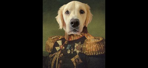 Customer photo review of The General - Custom Vintage Pet Portrait