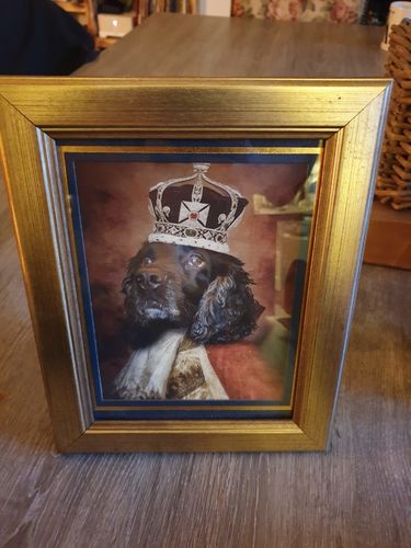 Customer photo review of The King - Custom Vintage Pet Portrait
