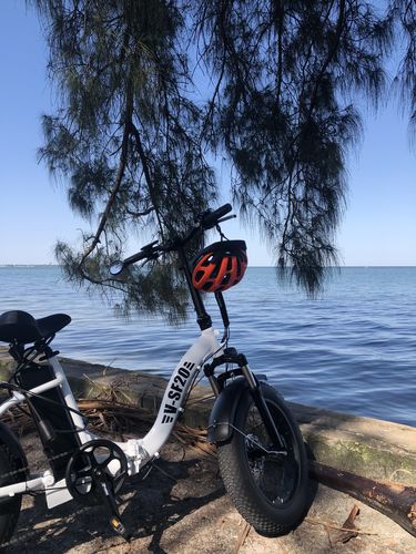Customer photo review of VTUVIA SF20 Step-Thru Folding Fat Tire E-Bike