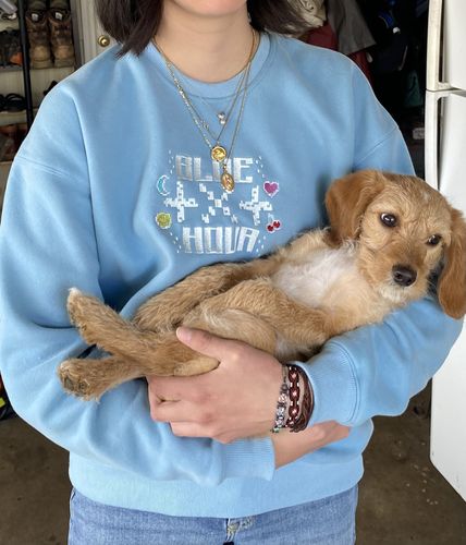 Customer photo review of TXT Blue Hour Crewneck Sweater