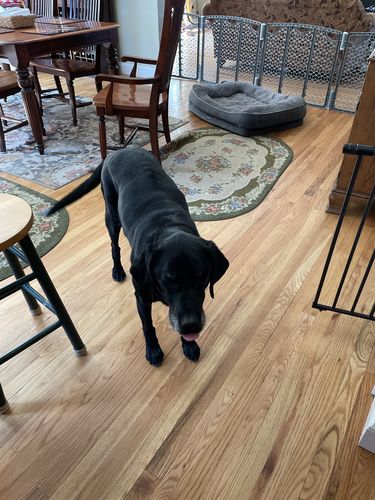 Customer photo review of Carbon Neutral Order