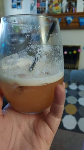 Customer photo review of Box Of 6 Cocktails