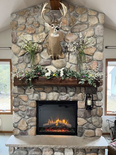 Customer photo review of Napoleon Element 36'' Dual Voltage Built-In Electric Firebox Insert