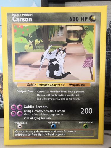 Customer photo review of Product options