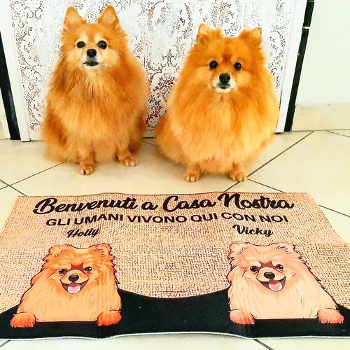 Customer photo review of Tappeto personalizzato con Cani & Gatti
