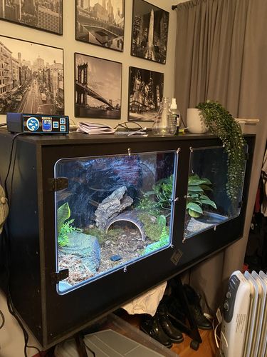 Customer photo review of XT4 (48Lx24Dx24H) - STACKABLE