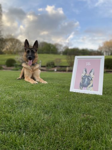 Customer photo review of Modern - Custom Pet Portrait