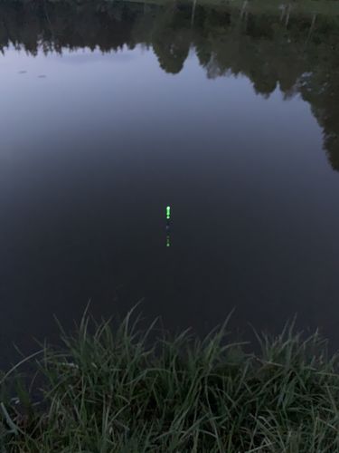 Customer photo review of 8+2g Smart Fishing Float