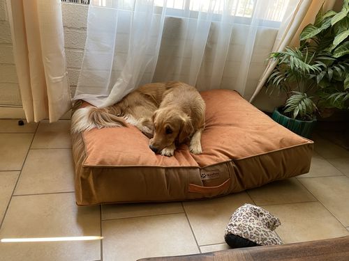 Customer photo review of Cama Para Perro Modelo Origen Kuapets Naranjo Viejo - Café