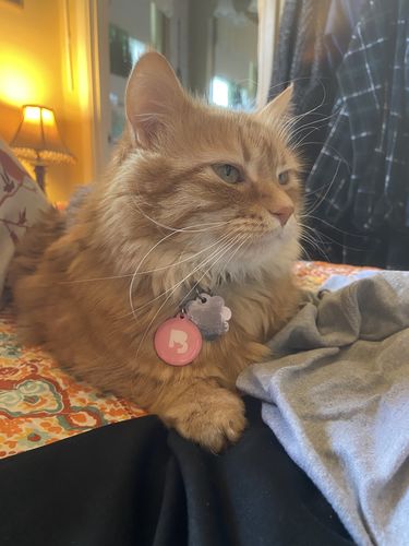 Customer photo review of Pink