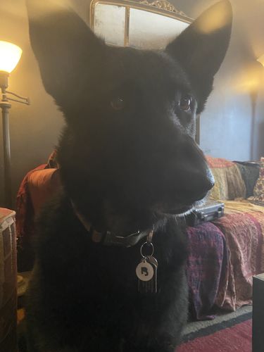 Customer photo review of White