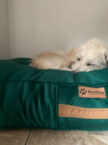 Customer photo review of CAMA ORIGEN VERDE BOTELLA