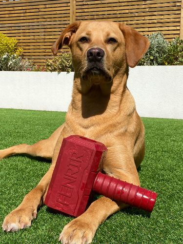 Customer photo review of The Fenrir Hammer