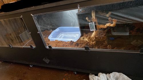 Customer photo review of XT6 BIO24 (72Lx24Dx24H) - STACKABLE