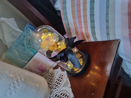 Customer photo review of Galaxy LED Rose Dome