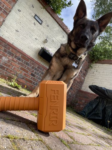 Customer photo review of The Fenrir Hammer