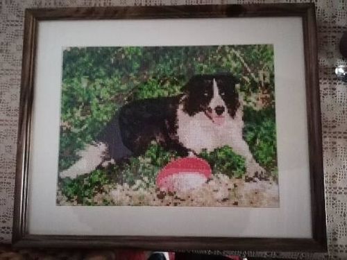 Customer photo review of Diamond Painting Eigen Foto - Snelle Levering