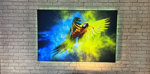 Customer photo review of Leuchtbild | Papagei - Farbexplosion | Panoramahochformat