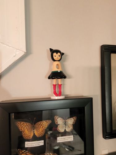 Customer photo review of Little Chestnut First Sight Series Blind Box