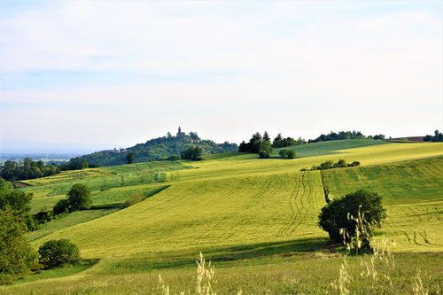 Customer photo review of 2 confezioni da 150 Cialde Gran Riserva con 20 % di sconto