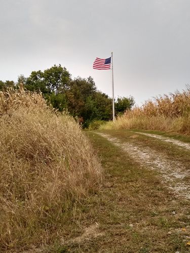Customer photo review of Solar Powered Flagpole Spot Light