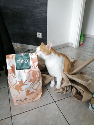 Avis photo d'un client sur Croquettes Chat Stérilisé Sans Céréales - Poulet