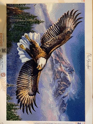 Customer photo review of Diamond Painting - Adler der Berge