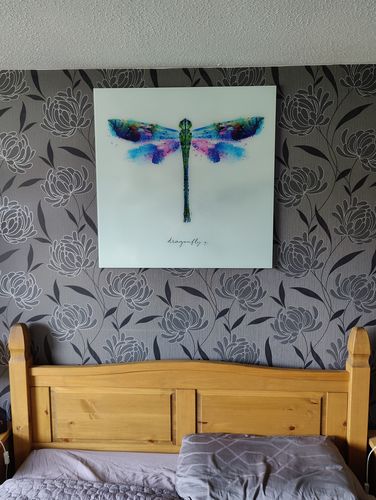 Customer photo review of Dragonfly Glass Print Wall Art
