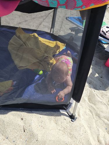 Customer photo review of Pop N' Go® Playpen