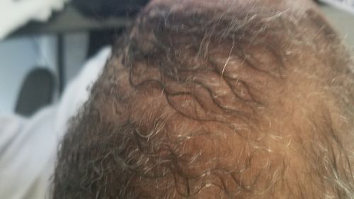 Customer photo review of NATURAL CONDITIONING DETANGLER