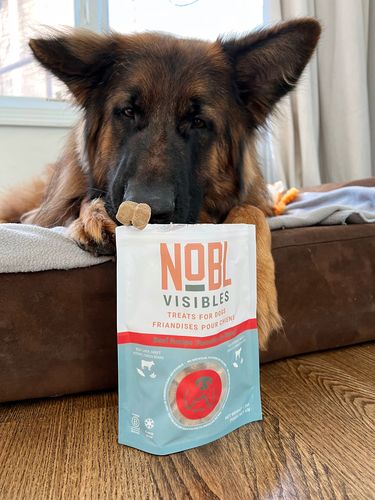 Customer photo review of NOBL VISIBLES - Beef Recipe Treats for Canines - Individual Bag
