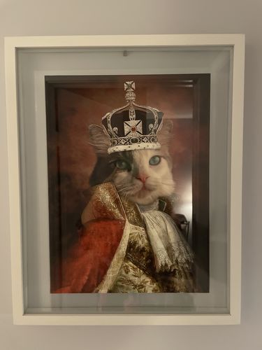 Customer photo review of The King - Custom Vintage Pet Portrait